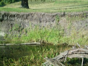 Берег реки Берег реки